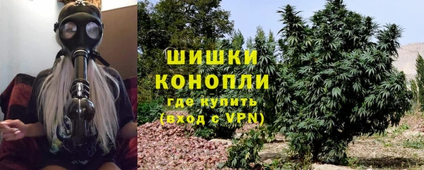 гашик Волосово