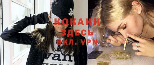 гашик Волосово