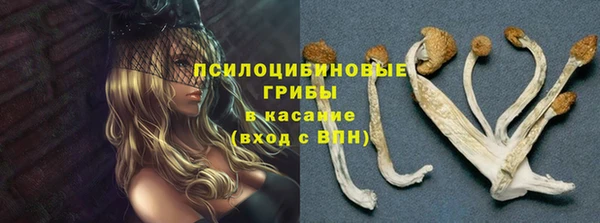 гашик Волосово